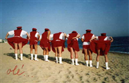 1994  2